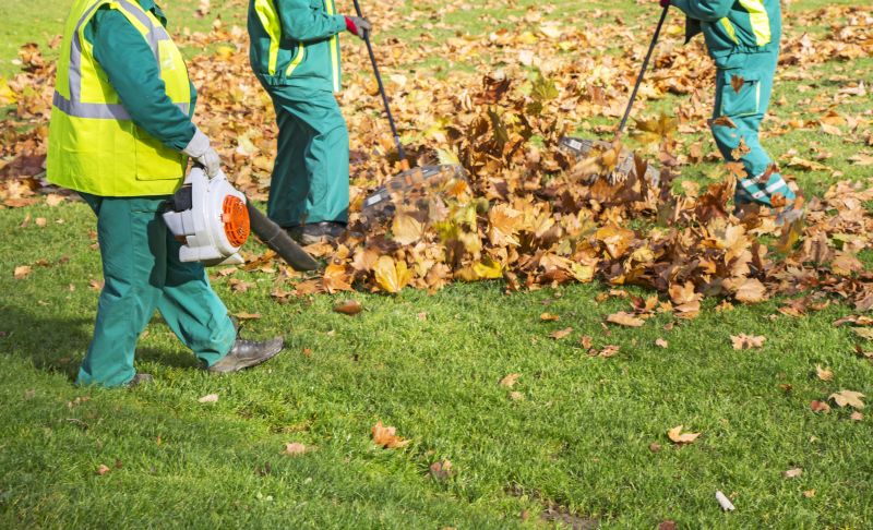 Top Rated Leaf Raking Tools