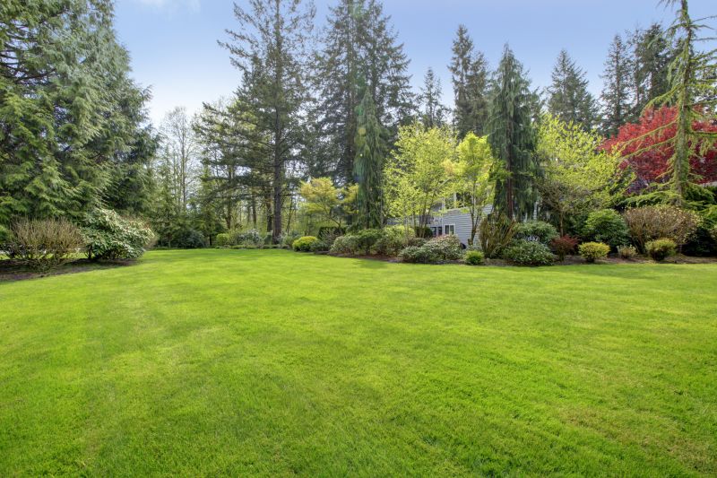 Cost of Leaf Raking — Cost of Leaf Raking
