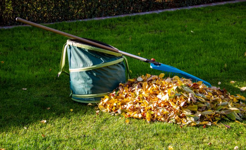 Cost of Leaf Raking — Cost of Leaf Raking