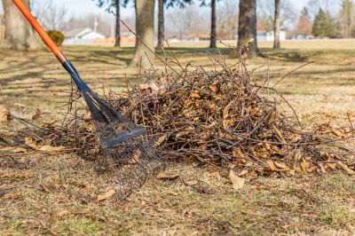 Removing Leaves with Rakes