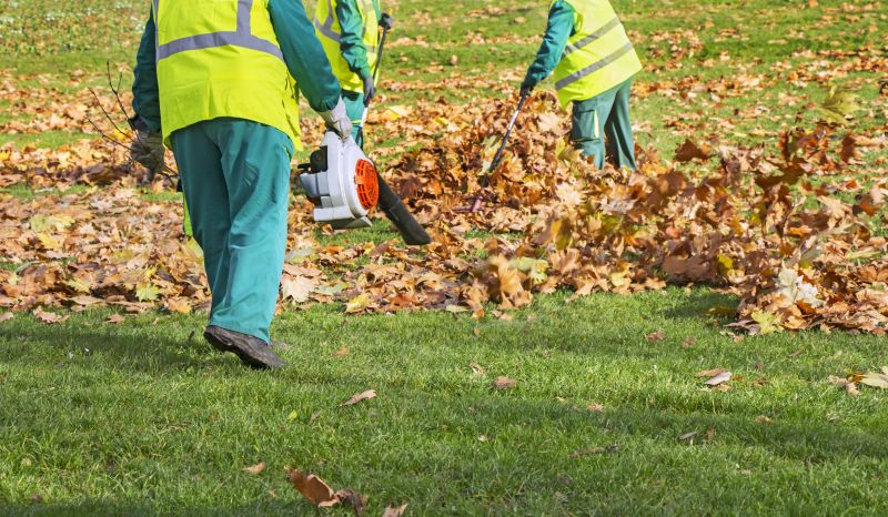 Leaf Blower in Use