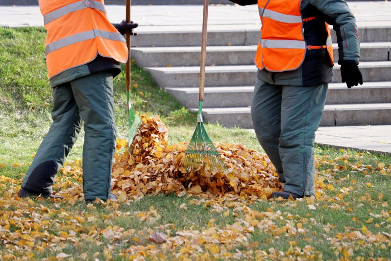 Leaf Removal Crew