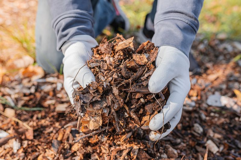 Leaf Mulching Process