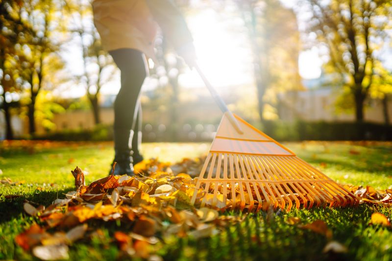 Leaf Raking