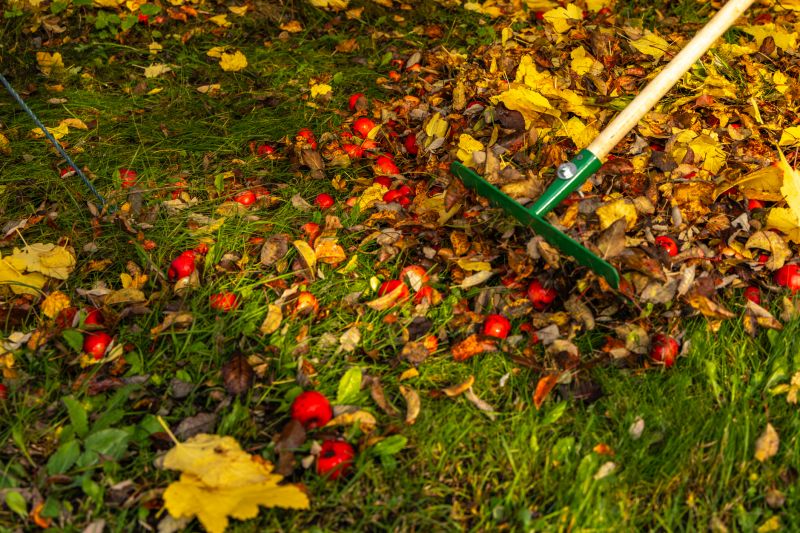 Leaf Raking Equipment