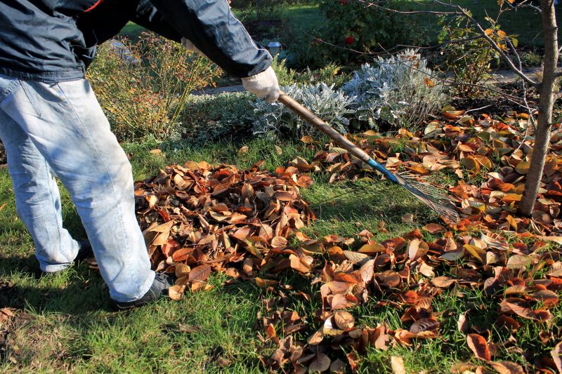 Leaf Rakings in Autumn