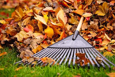 Clear Your Lawn of Leaves and Debris!