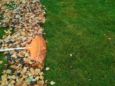 Improve Your Curb Appeal with Leaf Raking!