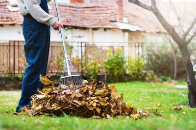 Save Time and Energy by Hiring a Professional!